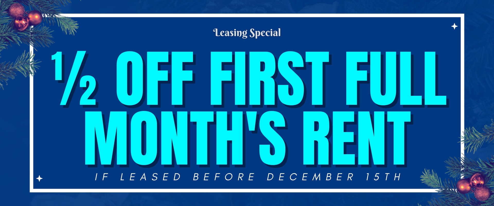 Leasing Special  ½ off first full month's rent if leased before December 15th.